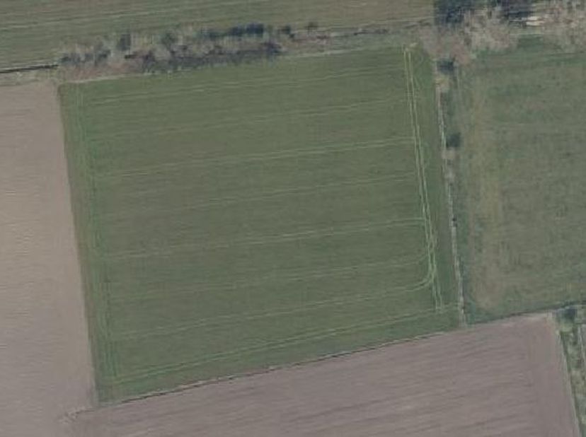Landbouwgrond gelegen te Lotenhulle - vrij na oogst - info telefonisch